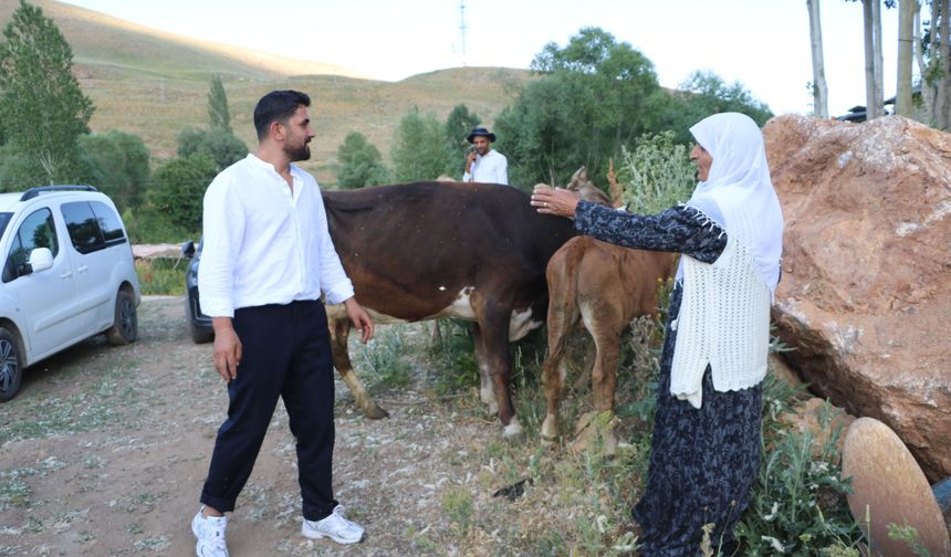 Uçuruma düşen inekleri ölen 7 çocuklu aileye, 2 inek ve 2 buzağı hibe edildi