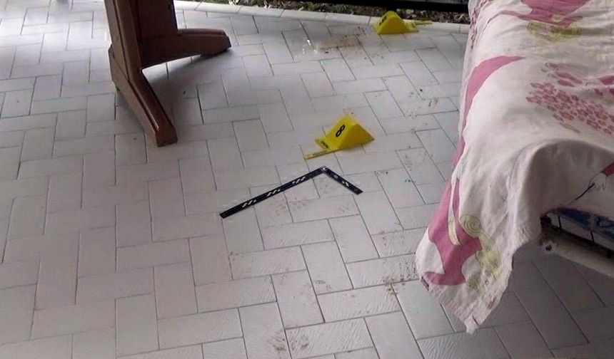 Almanya'da yakalanıp iade edilen cinayet şüphelisi tutuklandı