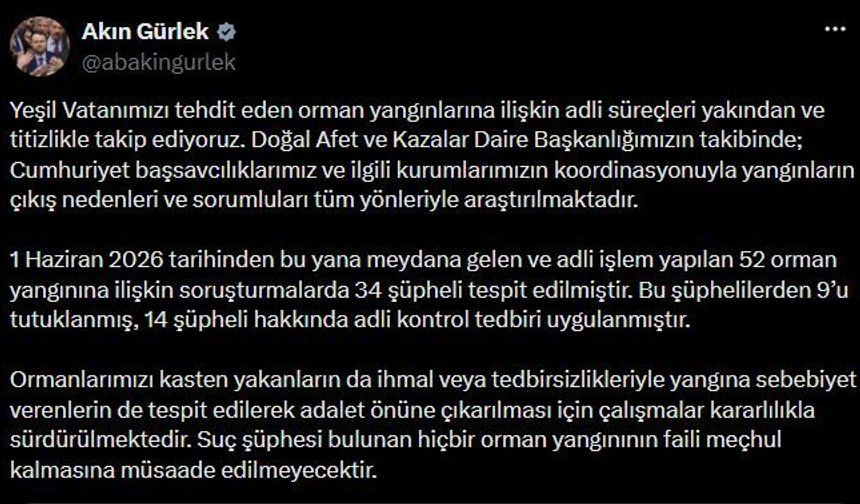 52 orman yangınına ilişkin soruşturmalarda 9 şüpheli tutuklandı
