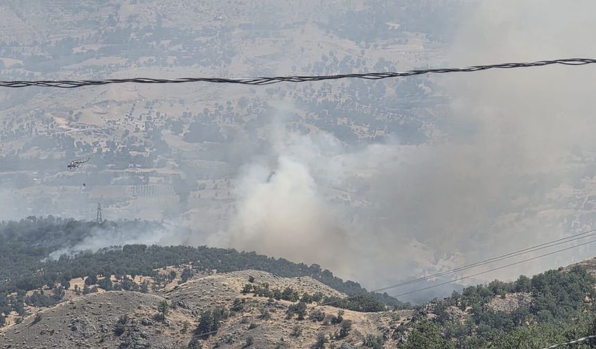 Adıyaman'da orman yangını