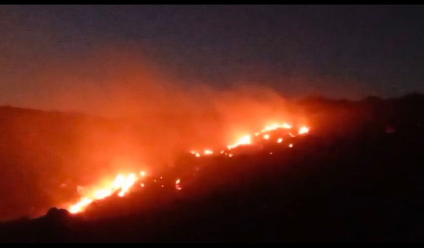 Afyonkarahisar'da orman yangını
