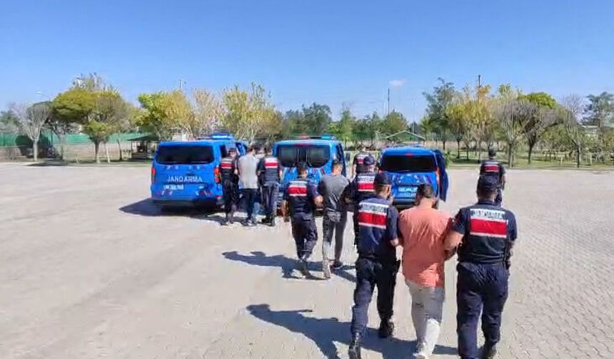 Aksaray'da köpek dövüştüren 3 kişiye 39 bin lira ceza