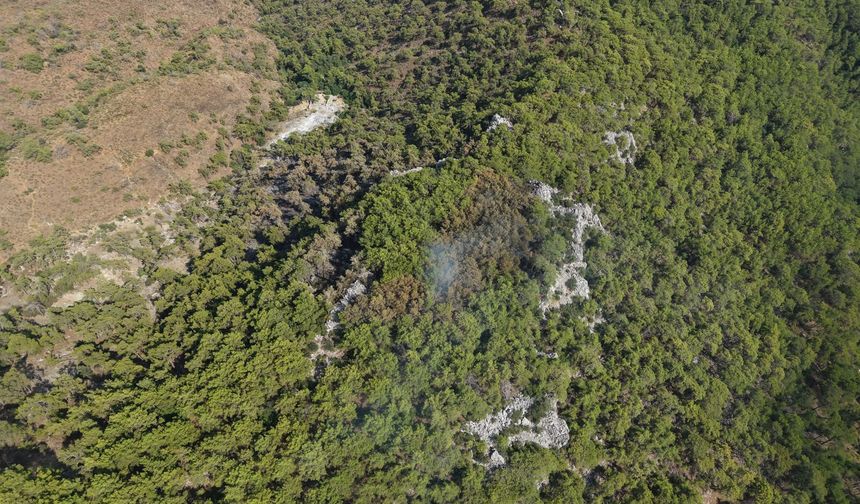 Antalya'da orman yangını (2)