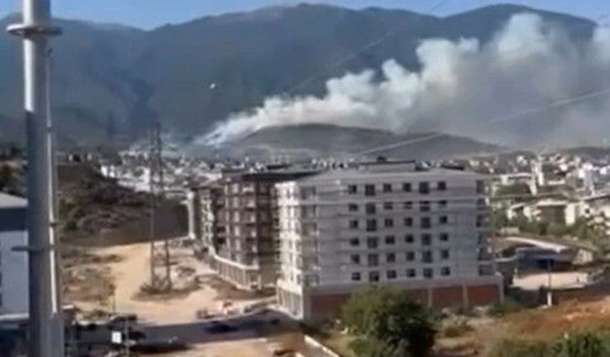 Bursa'da orman yangını