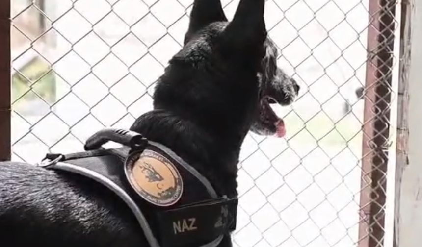 Emekli olan narkotik köpeği Naz'a duygulandıran veda