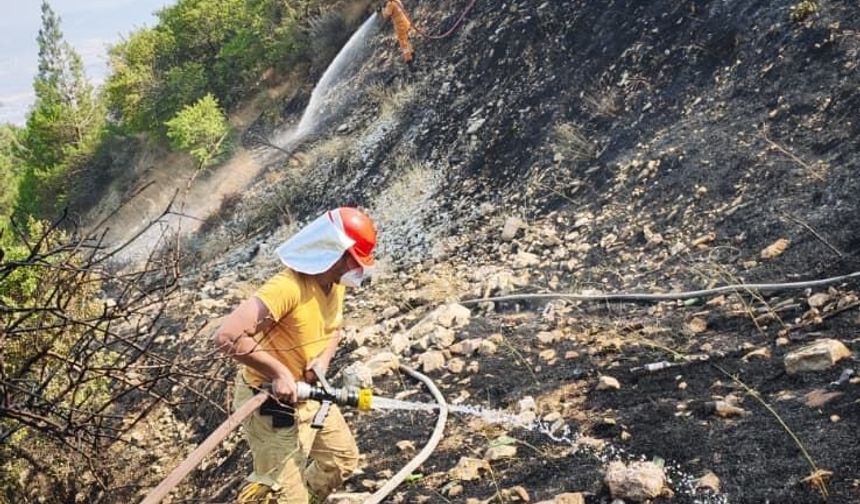 Kahramanmaraş'ta çıkan orman yangını söndürüldü