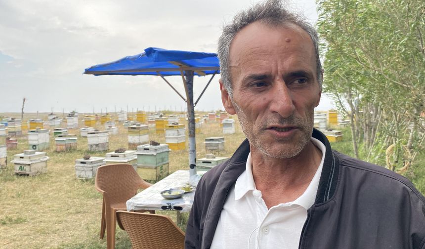 Kars'ta arıcılardan dolu ve fırtınaya karşı 'taşlı' önlem
