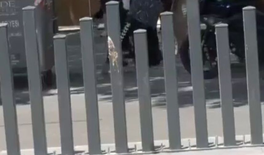 Kavga eden kadınları trafik polisleri ayırdı