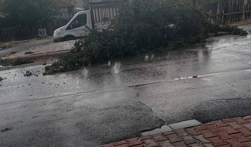 Malatya'da fırtına ve sağanak hayatı olumsuz etkiledi