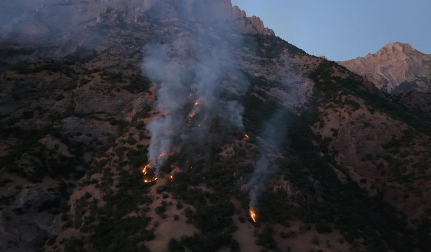 Munzur Vadisi Milli Parkı'nda orman yangını (2)