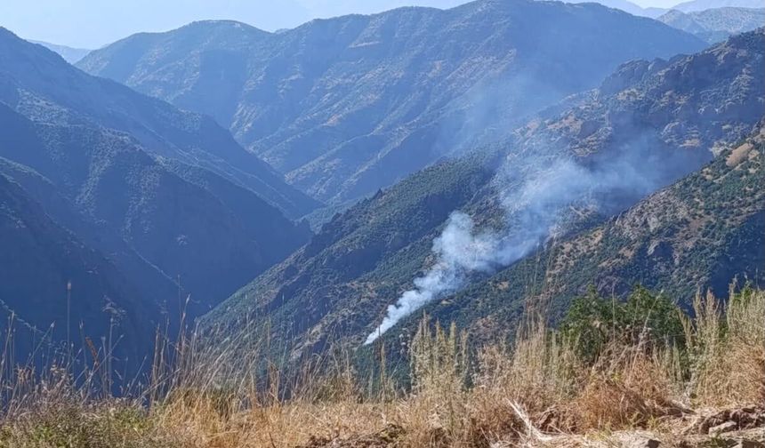 Munzur Vadisi Milli Parkı'nda orman yangını