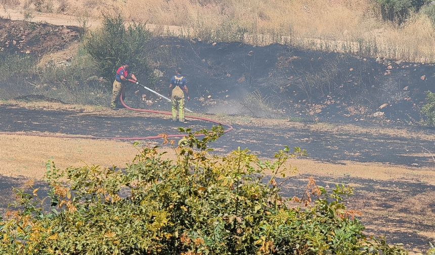 Tokat'ta ot yangını, büyümeden söndürüldü