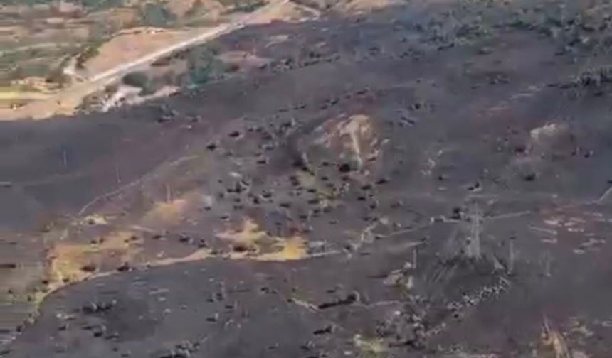 Tunceli'de ot yangınında alevler ormana sıçramadan kontrol altına alındı (2)