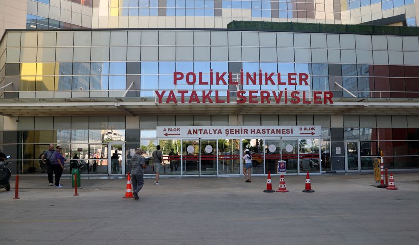Yaz gribinde 'ani sıcaklık değişimi' ve 'klima' uyarısı