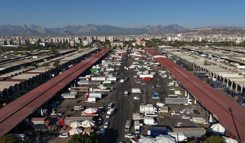 Antalya'da üretilen sebze ve meyvenin fiyatı tezgaha ulaşana kadar 2 katına çıkıyor / Ek fotoğraflar