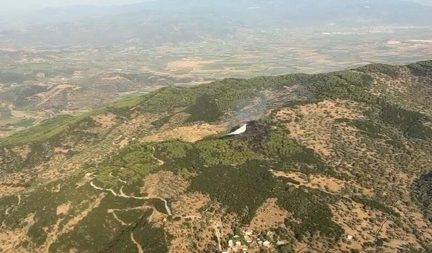 Aydın'da orman yangını (2)