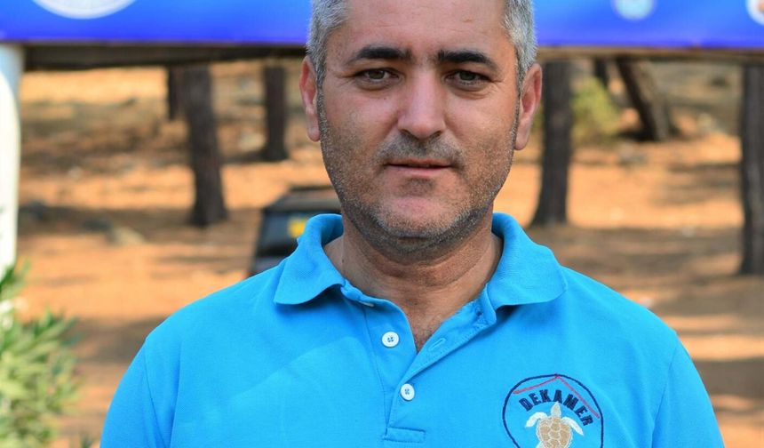 Bodrum'da yumurtadan çıkan deniz kaplumbağaları suyla buluştu