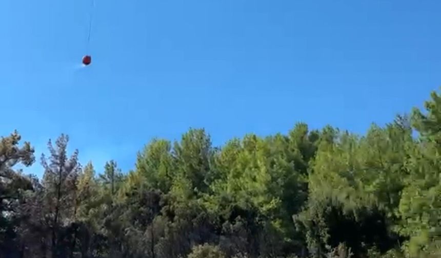 Burdur'da orman yangını (3)