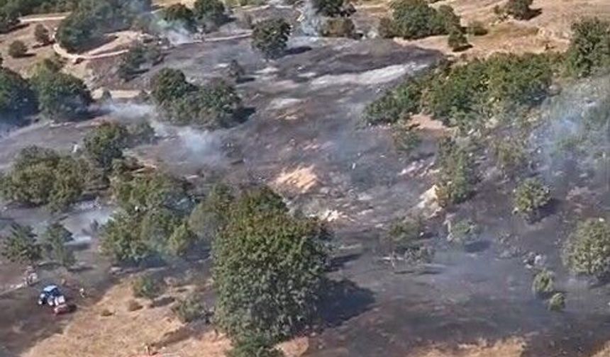 Bursa'da anız yangınında alevler ormana sıçramadan söndürüldü