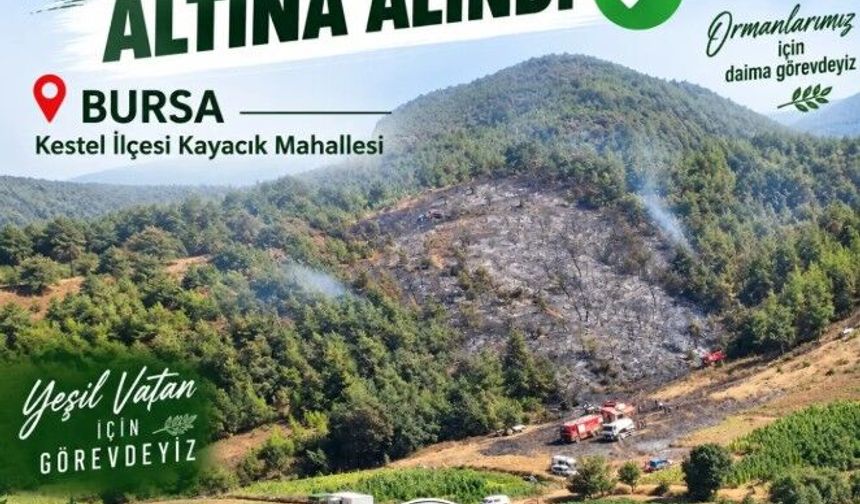 Bursa'da orman yangını (3)