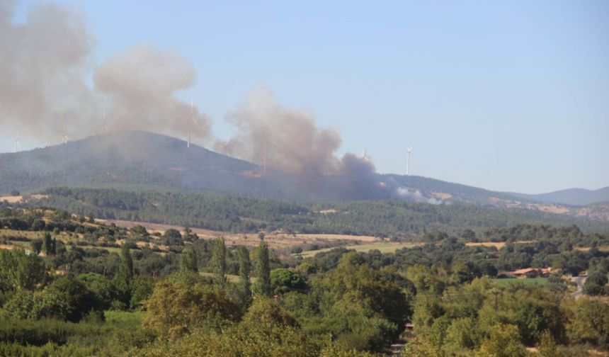Çanakkale'deki orman yangınında 8 hektar alan zarar gördü