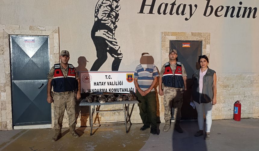 Göç yolundaki 7 arı şahinini vuran avcıya 1 milyon 356 bin TL'lik ceza