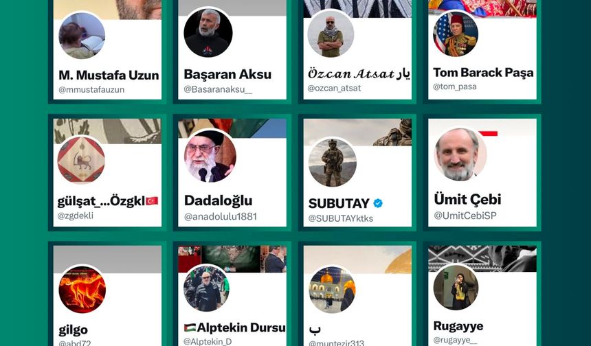 İletişim Başkanlığı koordinesinde 133 hesaba erişim engeli getirildi
