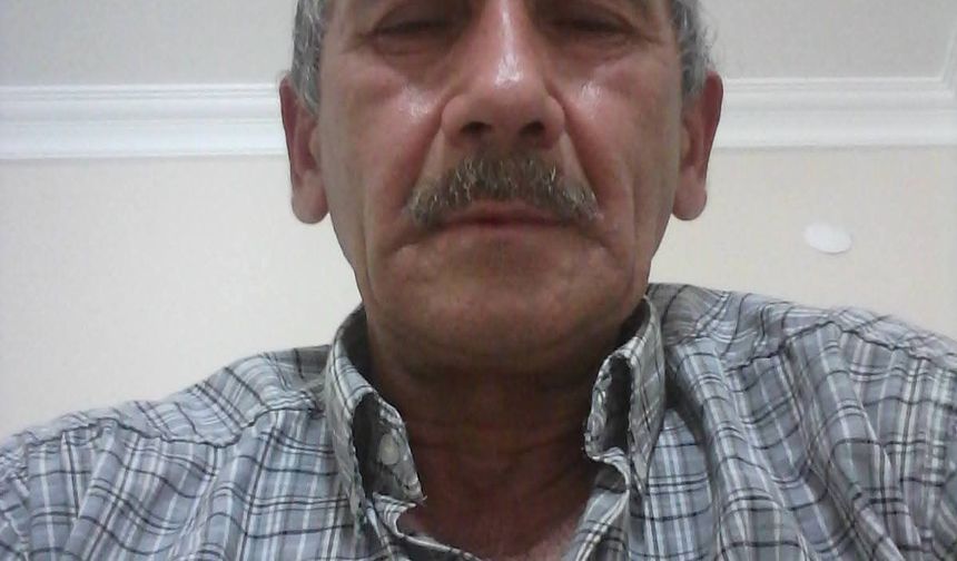 Kesilen ağacın dalının çarptığı orman işçisi öldü