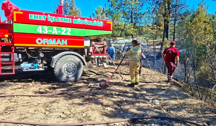 Kütahya'daki otluk alanda çıkan yangın, ormana sıçramadan söndürüldü