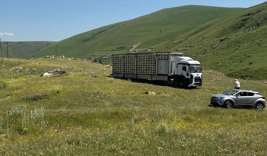 Mobil bal üretim tesisine dönüştürülen TIR'daki 340 kovanda hasat zamanı