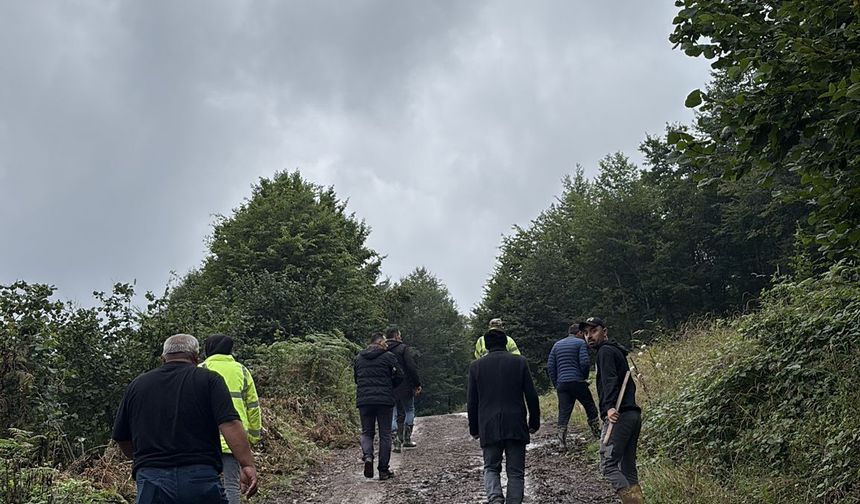 Ordu'da kaybolan kişi için arama çalışması başlatıldı