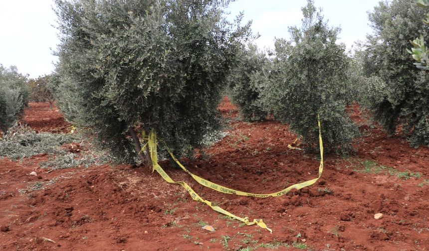 Traktörden düşen çiftçi öldü