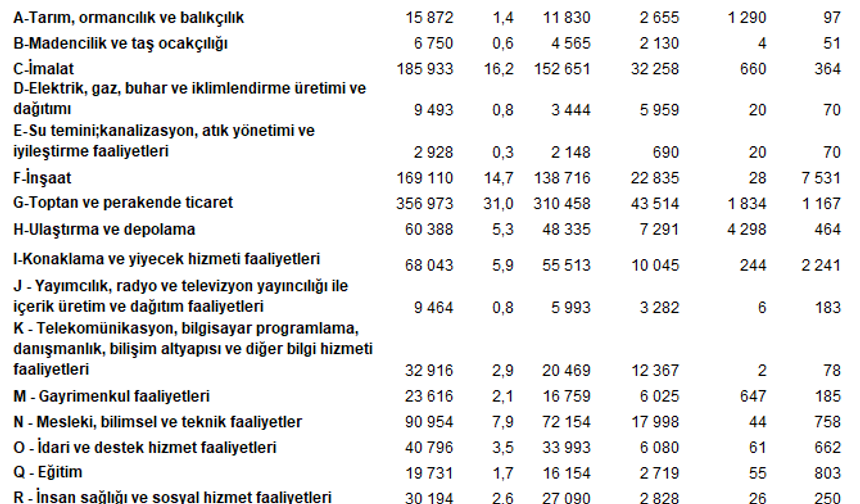 TÜİK: En fazla firma toptan ve perakende ticaret sektöründe yer aldı