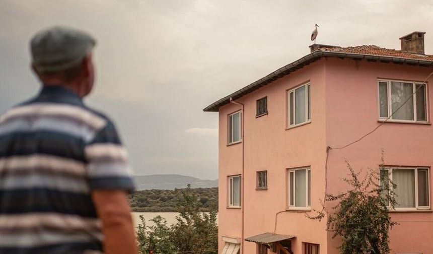 Yaren leylek ve eşi Nazlı yuvadan ayrıldı