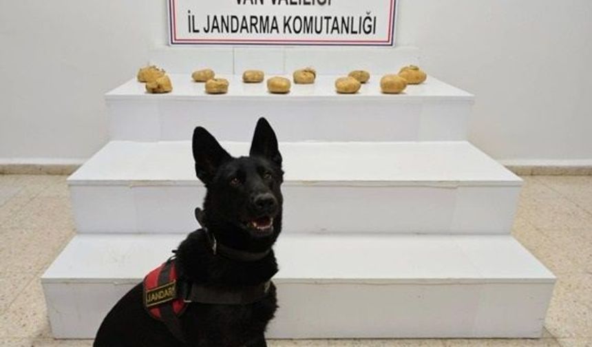 Başkale'de 11 kilo 958 gram toz esrar ele geçirildi