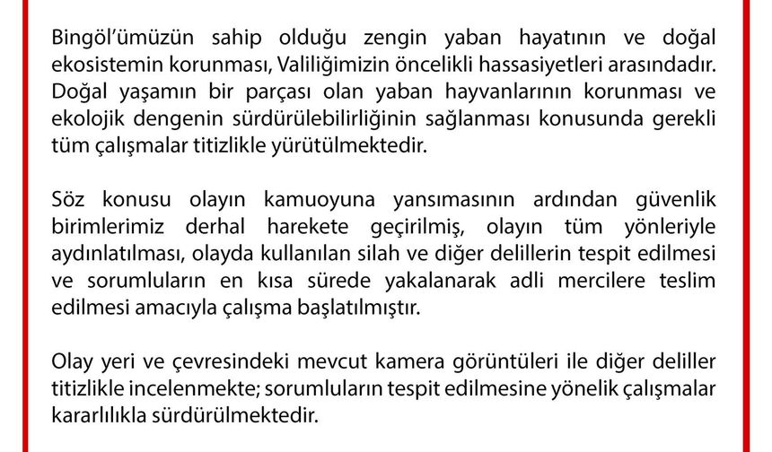 Bingöl'de 3 bozayının öldürülmesine ilişkin çalışma başlatıldı
