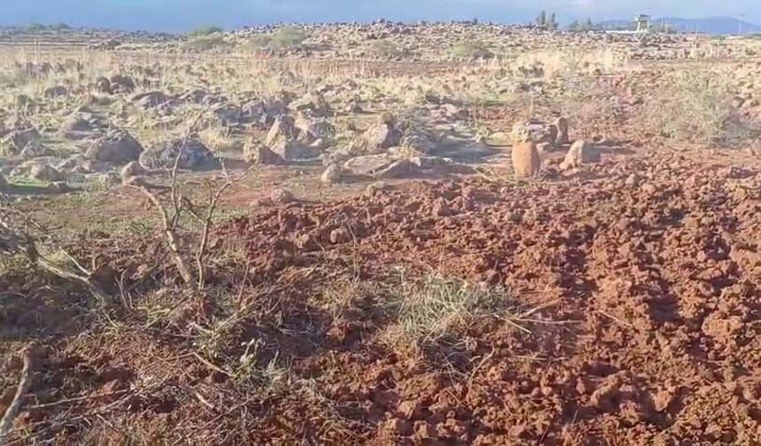Dağ ceylanlarının yaşam merkezinde izinsiz toprağı süren kişiye para cezası