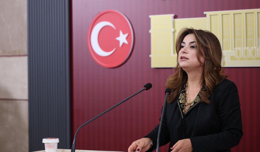 DEM Parti'li Koçyiğit: Bu ülkedeki her 100 liranın 17 lirası faize gidiyor