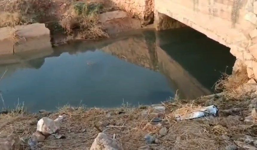 Mardin'de otomobil su kanalına uçtu: 4'ü çocuk, 6 ölü / Ek fotoğraflar