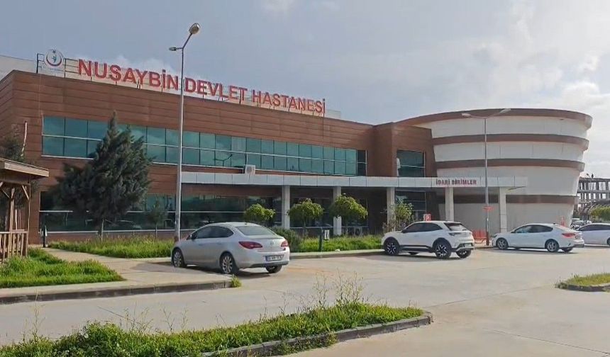 Mardin'de otomobil su kanalına uçtu: 4'ü çocuk, 6 ölü