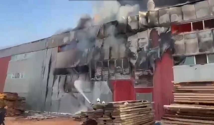 Mobilya fabrikasında yangın (2)